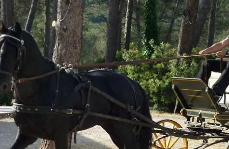 Hotel Hotel Casa Rural Y Eventos Bonestar 3*